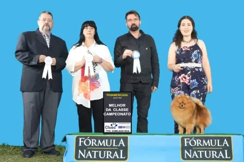 Exposições